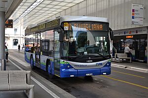 TPL 201, Lugano Centro