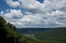 A view of Tarlton Valley from Beersheba Springs