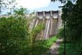 Thenmala dam