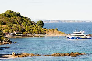 Tiritiri Matangi Wharf