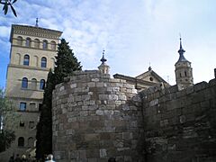 Torreón de la Zuda-Muralla