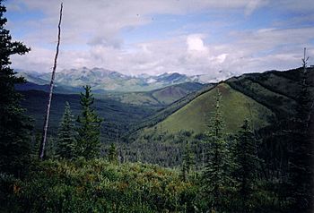 Tuchodi River valley.jpg