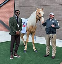 USFL Mascot