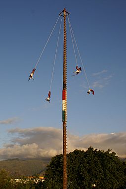 Voladores 3