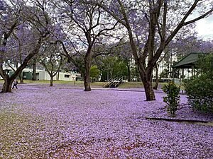 Warrigal Road State School, 2024