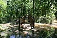 White River Boardwalk Trail (5781633755)