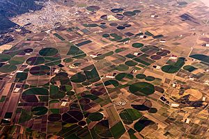 15-07-14-Landschaft-zwischen-Mexico-und-Golfküste-RalfR-WMA 0450