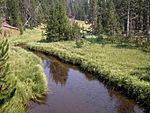 2003-08-18 Gibbon River in Yellowstone