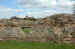 20050410-009-verulamium-wall