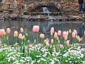 Araluen IMG 0251