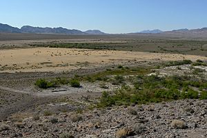 Ash Meadows 1