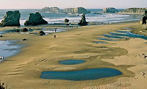 Bandon Oregon beach 2