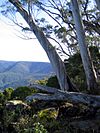 Barrington lookout.jpg