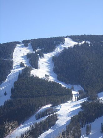 Birds of Prey course in December 2011