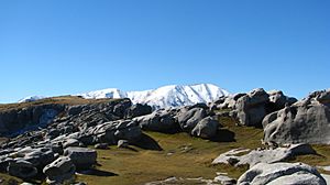 Boulder Field at Castle Hill