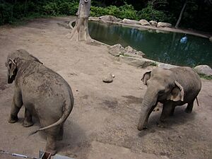 Bronx Zoo NYC