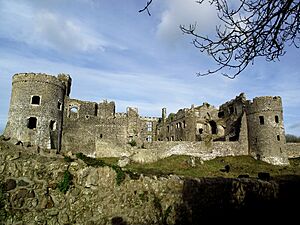 Carew Castle (6744540501)