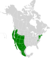 Carpodacus mexicanus map history2