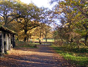 Cherry tree woods finchley