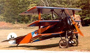 Cole Palen's N3221 Triplane