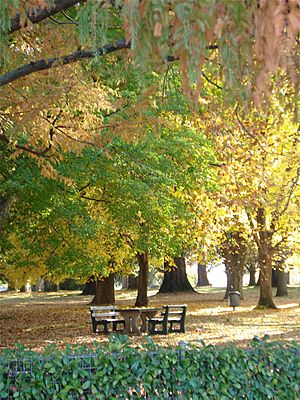 Cook Park - panoramio