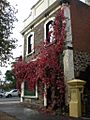 Corner Wine Shop in North Adelaide