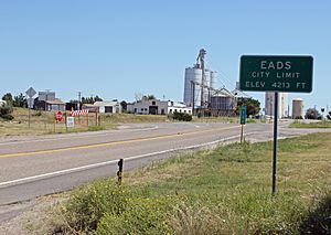 Eads from the west on State Highway 96 (2013)