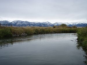 EastGallatinRiverNearBelgrade.jpg