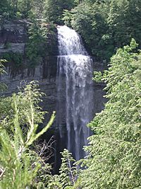 Fall creek falls 2003.jpg