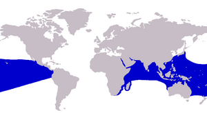 Gnathanodon speciosus distribution.png