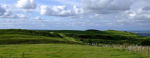 Hambledon from south