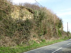 Houghton Green Cliff (1).jpg