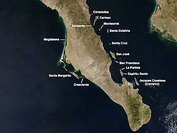 Iles de Basse-Californie Sud.jpg