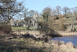 Inch Abbey, Downpatrick, March 2010 (05)