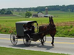 Lancaster County Amish 03