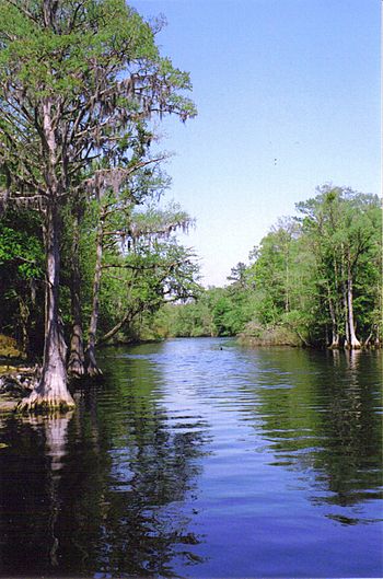 LumberRiverStatePark.jpg