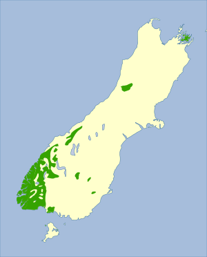 Mohoua ochrocephala - distribution map.svg