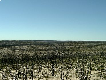 Ngarkat Conservation Park Tyms Lookout.jpg