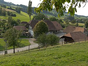 Niedermuhleren Bachmühle (2)