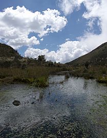 Panoramique iguaque 2011