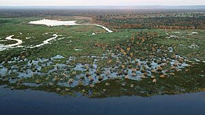 Pantanal em Itiquira