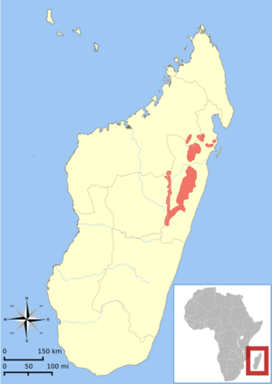 Propithecus diadema range map.svg