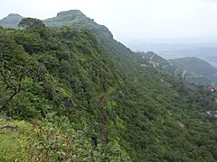 Purandar Fort 48