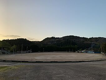 Queenstown Oval at sunset.jpg