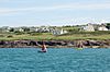 Red ochre sails off The Greenaway, Trebetherick - geograph.org.uk - 1473362.jpg