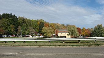 Roscoe Village from the south.jpg