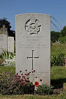 Shea JJ Chichester CWGC