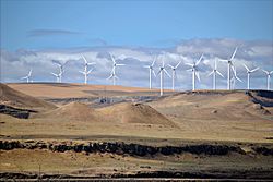 Shepherds Flat Wind Farm 2011