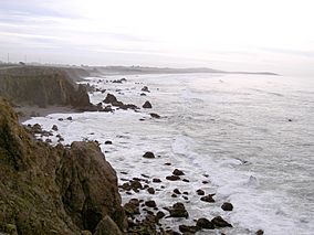 Sonoma Coast SMCA 3513.jpg