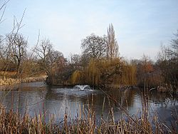 Stoke newington lake 2